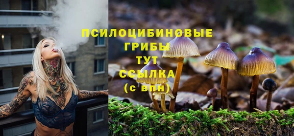 MESCALINE Нефтекумск