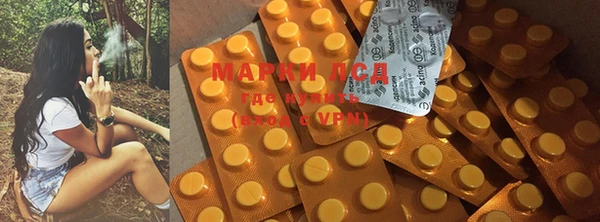 крисы Нея