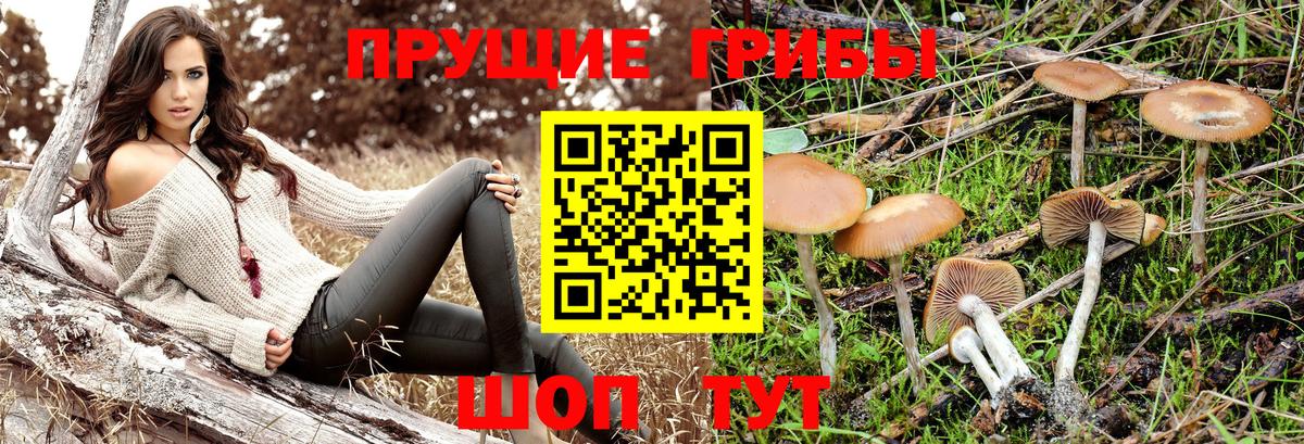 ЭКСТАЗИ  A PVP СОЛЬ   Вход с VPN  Сегежа  Цена  Гашиш  Канабис  Мефедрон кристаллы 