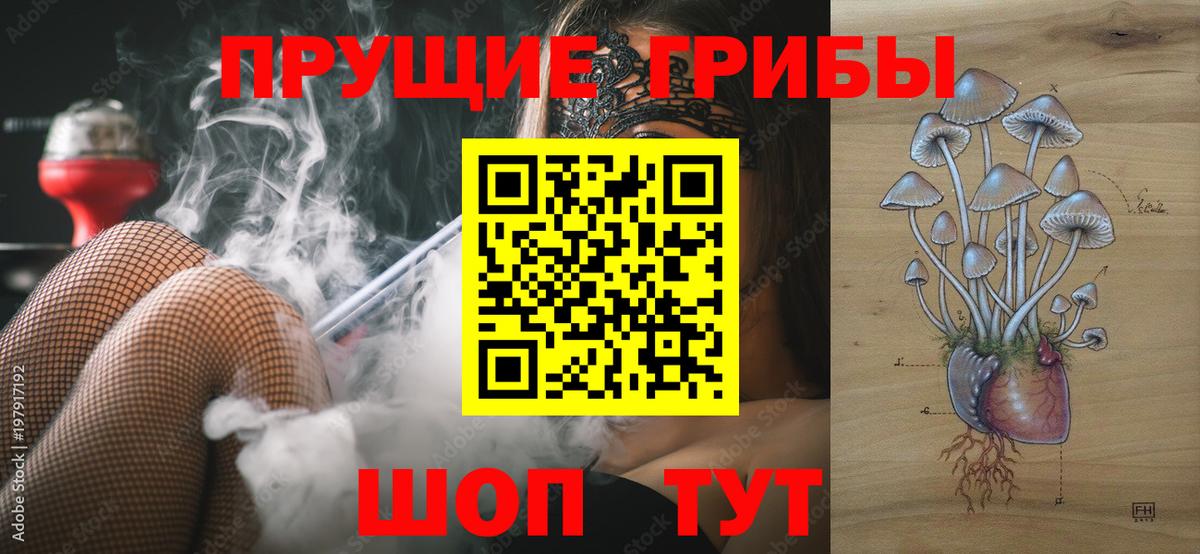 Сегежа  Псилоцибиновые грибы MAGIC MUSHROOMS  Вход с VPN 